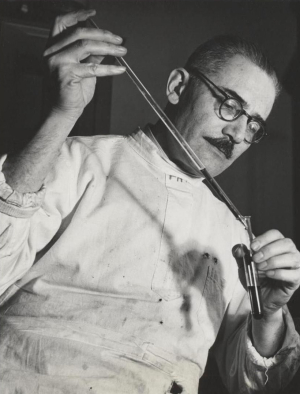 Hugo Bauer