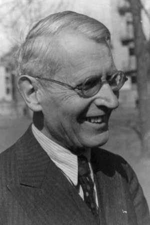 Wilhelm Steitz